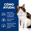 3 kg Hill's Prescription Diet Multi-Benefit Pollo pienso para gatos, , large indicador imagen numero 4